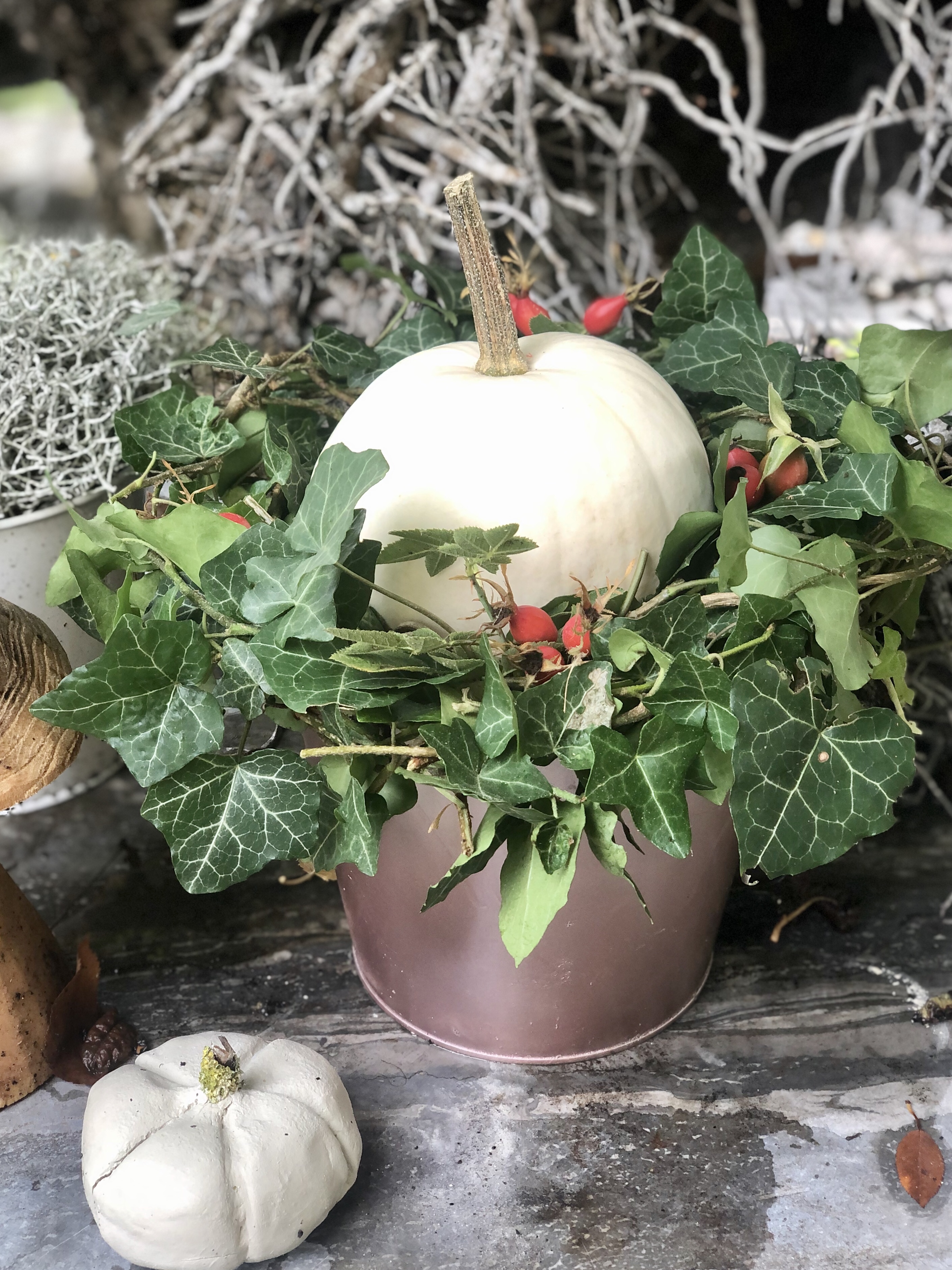 Krbisnest aus Efeu  Herbstdeko im Garten  Ellys Do it yourself